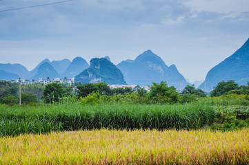 14座旅游车有哪些